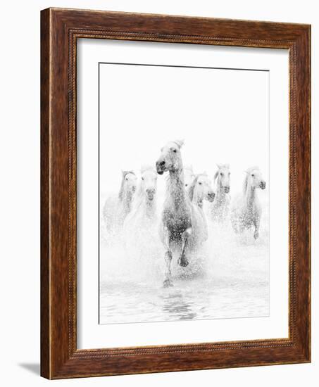 White Horses of Camargue Running Through the Water, Camargue, France-Nadia Isakova-Framed Photographic Print