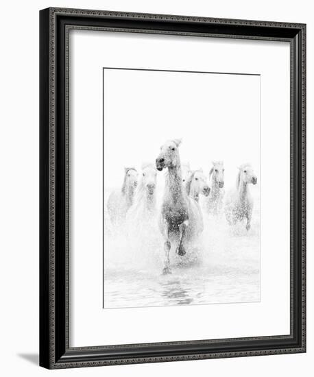 White Horses of Camargue Running Through the Water, Camargue, France-Nadia Isakova-Framed Photographic Print