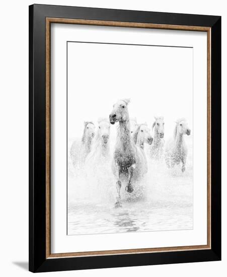 White Horses of Camargue Running Through the Water, Camargue, France-Nadia Isakova-Framed Photographic Print