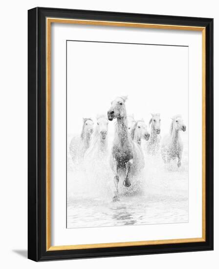 White Horses of Camargue Running Through the Water, Camargue, France-Nadia Isakova-Framed Photographic Print