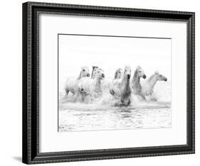 White Horses of Camargue Running Through the Water, Camargue, France-Nadia Isakova-Framed Photographic Print