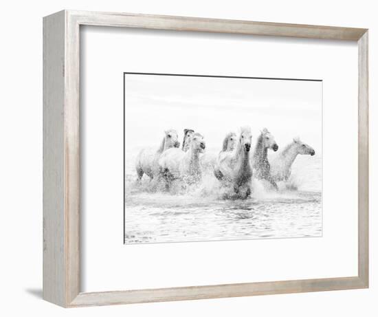 White Horses of Camargue Running Through the Water, Camargue, France-Nadia Isakova-Framed Photographic Print