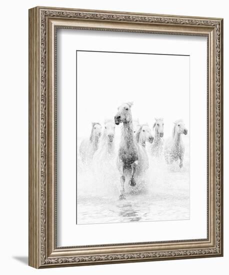 White Horses of Camargue Running Through the Water, Camargue, France-Nadia Isakova-Framed Photographic Print