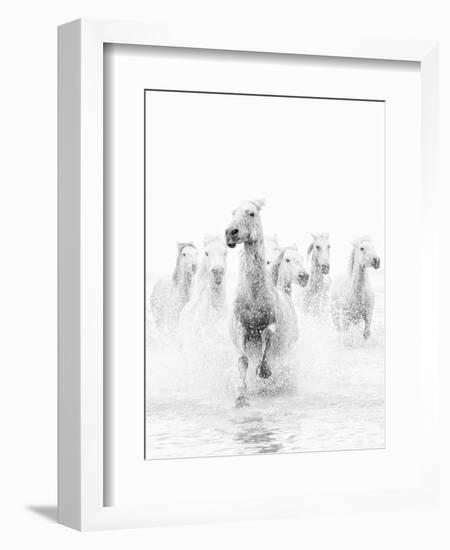 White Horses of Camargue Running Through the Water, Camargue, France-Nadia Isakova-Framed Photographic Print