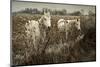 White Horses-David Winston-Mounted Giclee Print