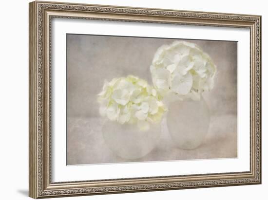 White Hortensia Still Life-Cora Niele-Framed Photographic Print