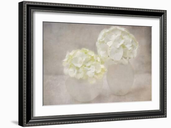 White Hortensia Still Life-Cora Niele-Framed Photographic Print