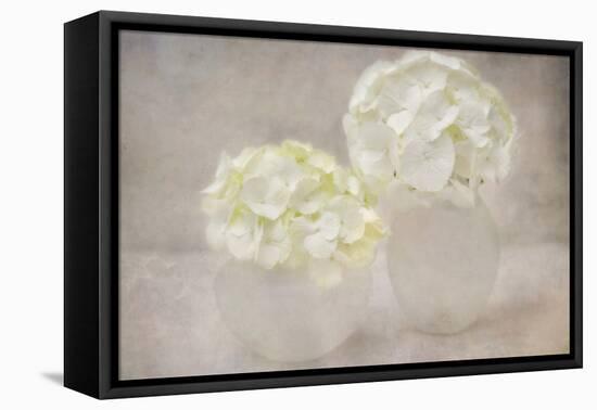 White Hortensia Still Life-Cora Niele-Framed Premier Image Canvas