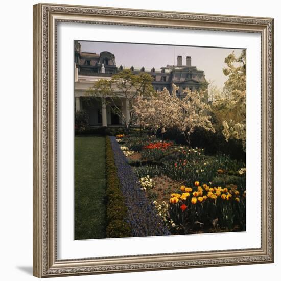 White House Rose Garden-null-Framed Photographic Print