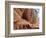 White House Ruin, Canyon De Chelly, Arizona, USA-Michel Hersen-Framed Photographic Print