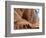 White House Ruin, Canyon De Chelly, Arizona, USA-Michel Hersen-Framed Photographic Print