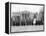 White House: Suffragettes-null-Framed Premier Image Canvas