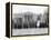 White House: Suffragettes-null-Framed Premier Image Canvas