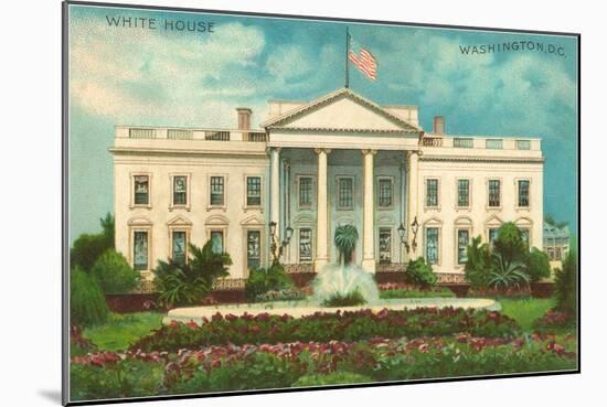 White House, Washington D.C.-null-Mounted Art Print
