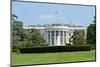 White House - Washington DC-Orhan-Mounted Photographic Print