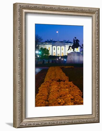 White House with flowers at dusk, Washington DC, USA-null-Framed Photographic Print