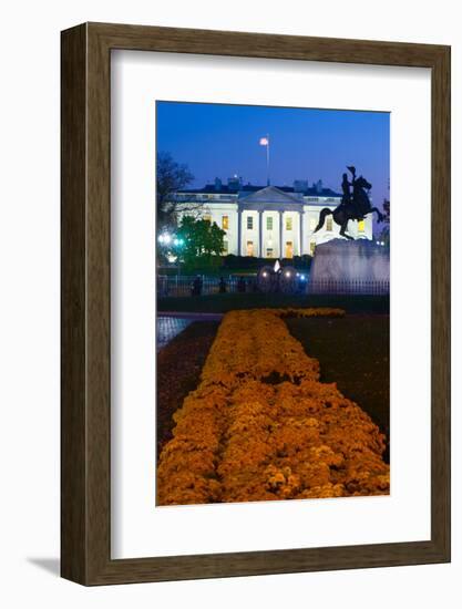 White House with flowers at dusk, Washington DC, USA-null-Framed Photographic Print