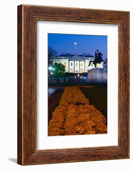 White House with flowers at dusk, Washington DC, USA-null-Framed Photographic Print