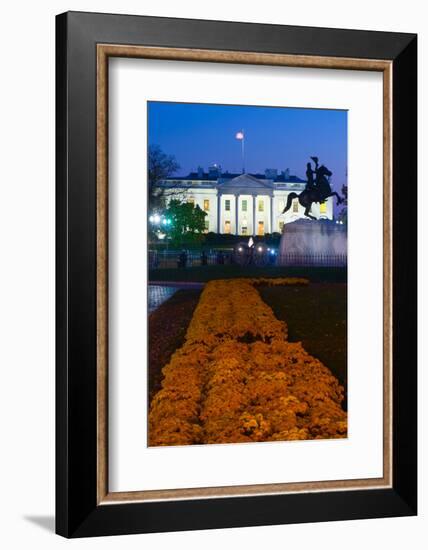 White House with flowers at dusk, Washington DC, USA-null-Framed Photographic Print