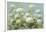 White Hydrangea Garden-Danhui Nai-Framed Art Print