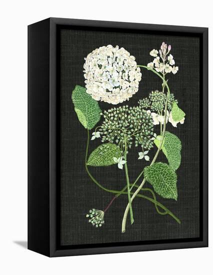 White Hydrangea Study I-Melissa Wang-Framed Stretched Canvas