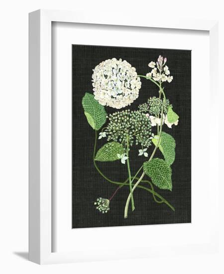 White Hydrangea Study I-Melissa Wang-Framed Premium Giclee Print