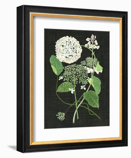 White Hydrangea Study I-Melissa Wang-Framed Premium Giclee Print