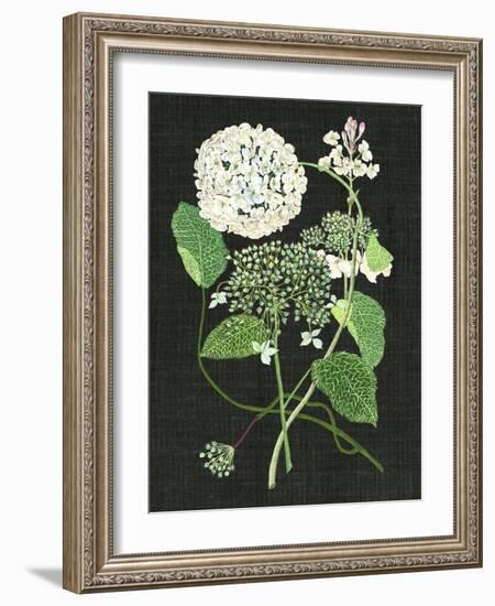 White Hydrangea Study I-Melissa Wang-Framed Art Print