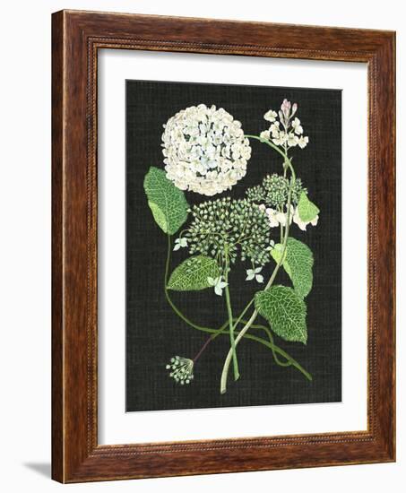 White Hydrangea Study I-Melissa Wang-Framed Art Print