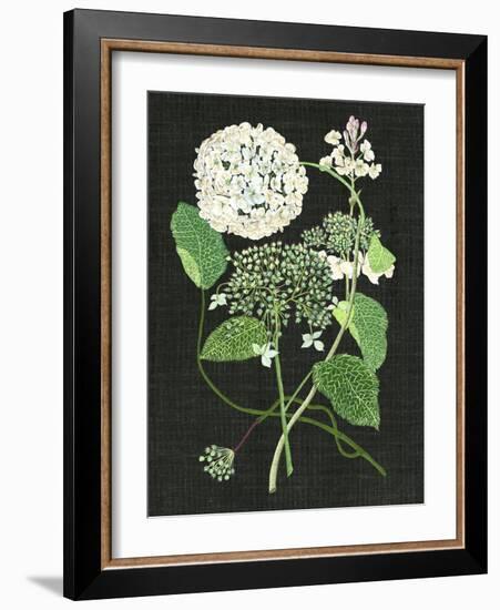 White Hydrangea Study I-Melissa Wang-Framed Art Print