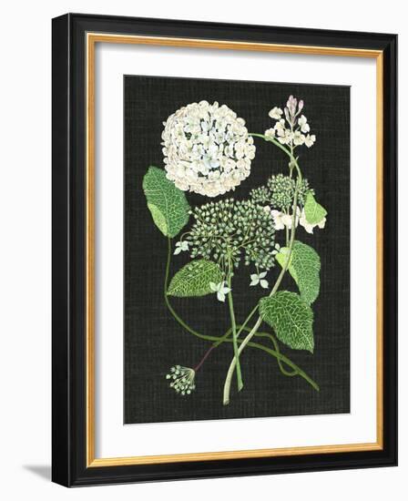 White Hydrangea Study I-Melissa Wang-Framed Art Print