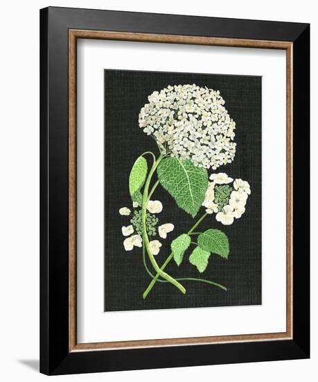 White Hydrangea Study II-Melissa Wang-Framed Premium Giclee Print