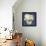 White Hydrangeas I-Emma Scarvey-Framed Stretched Canvas displayed on a wall