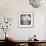 White Hydrangeas II-Emma Scarvey-Framed Premium Giclee Print displayed on a wall