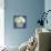 White Hydrangeas II-Emma Scarvey-Mounted Premium Giclee Print displayed on a wall