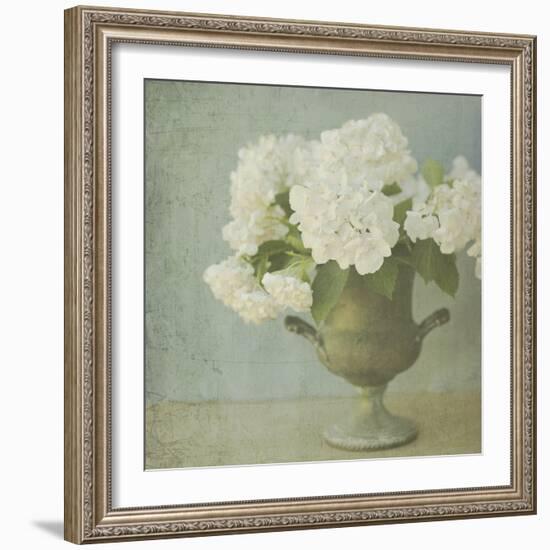 White Hydrangeas-Shana Rae-Framed Giclee Print