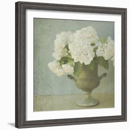 White Hydrangeas-Shana Rae-Framed Giclee Print