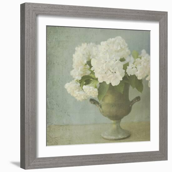 White Hydrangeas-Shana Rae-Framed Giclee Print