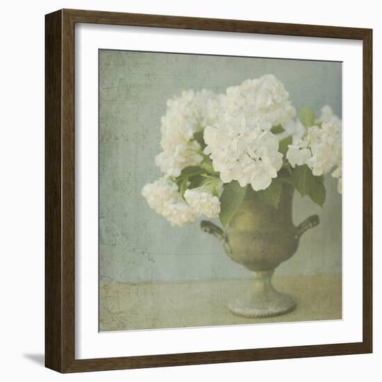 White Hydrangeas-Shana Rae-Framed Giclee Print