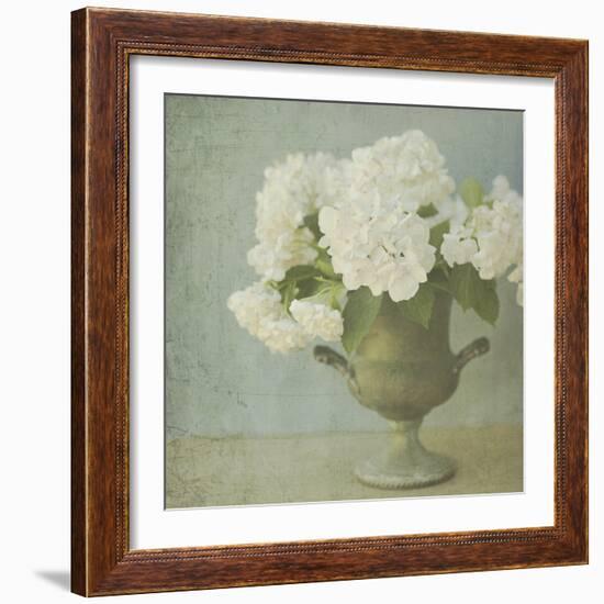 White Hydrangeas-Shana Rae-Framed Giclee Print