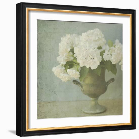 White Hydrangeas-Shana Rae-Framed Giclee Print