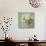 White Hydrangeas-Shana Rae-Giclee Print displayed on a wall