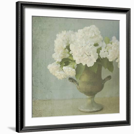 White Hydrangeas-Shana Rae-Framed Giclee Print