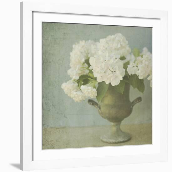 White Hydrangeas-Shana Rae-Framed Giclee Print