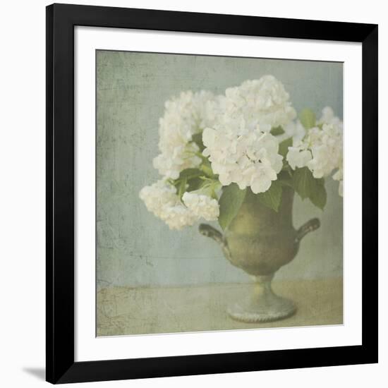 White Hydrangeas-Shana Rae-Framed Giclee Print