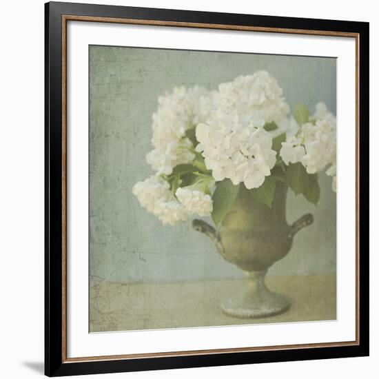 White Hydrangeas-Shana Rae-Framed Giclee Print