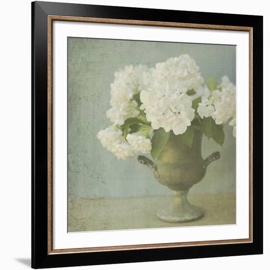 White Hydrangeas-Shana Rae-Framed Giclee Print