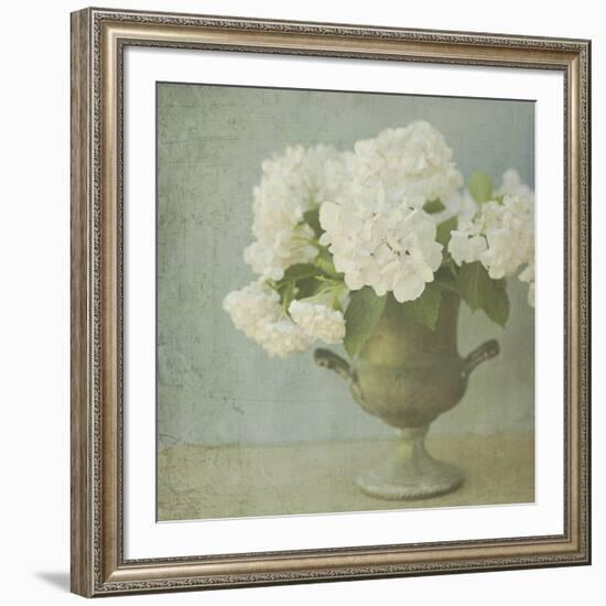 White Hydrangeas-Shana Rae-Framed Giclee Print