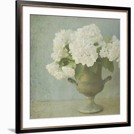 White Hydrangeas-Shana Rae-Framed Giclee Print