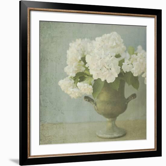 White Hydrangeas-Shana Rae-Framed Giclee Print